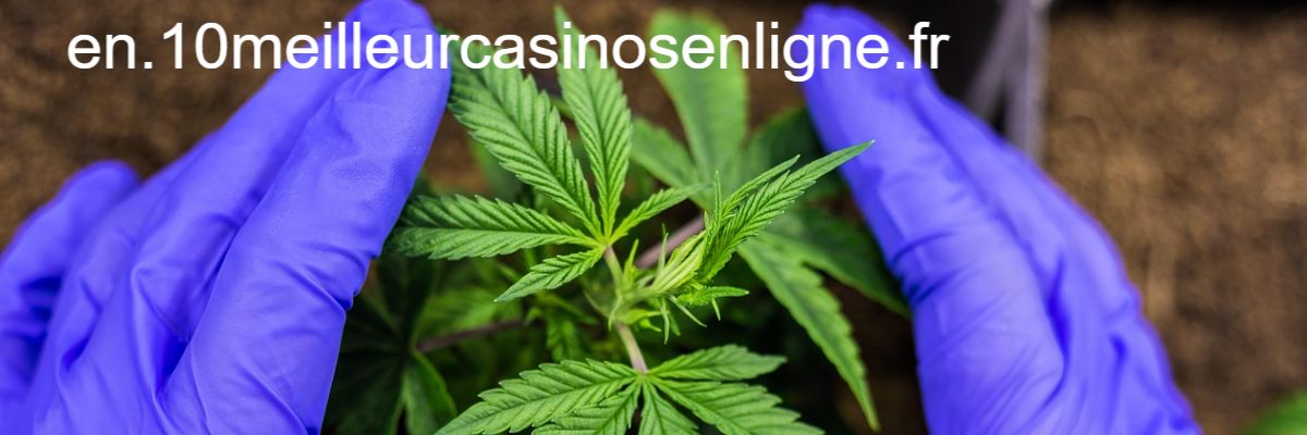 en.10meilleurcasinosenligne.fr